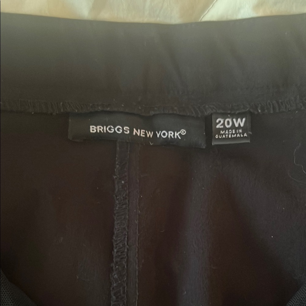 Briggs New York Black Dress (20W)